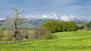 Couvreur urgence Mont-de-Marsan